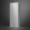Kombinirani hladilnik SMEG FA3905RX5